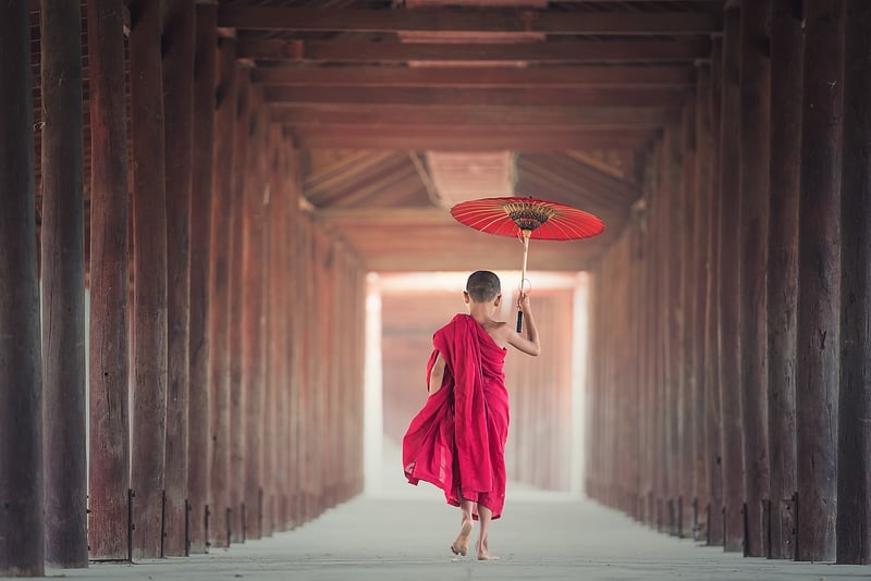 Tai Chi in nature