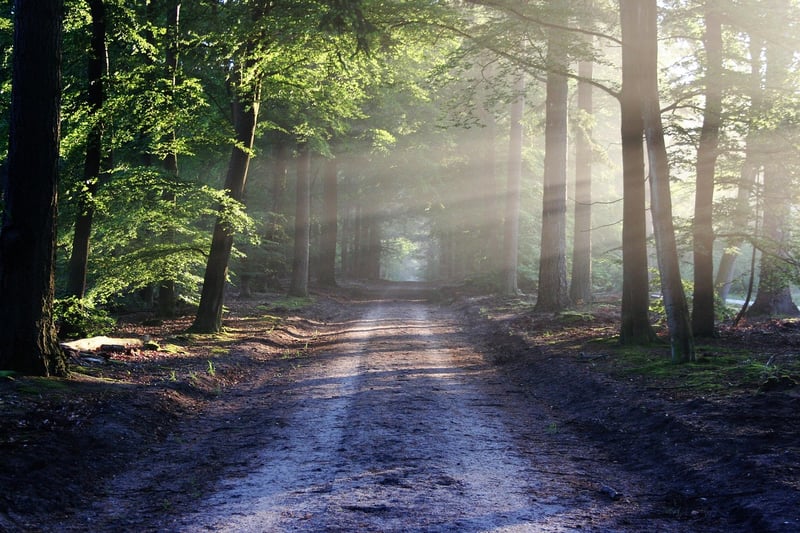 Nature Walk
